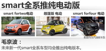 奔驰smart纯电动汽车价格(奔驰smart纯电动汽车价格二手)(图1)