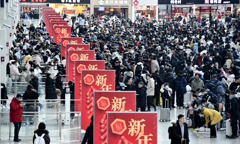 节庆显活力四海年味长——乙巳春节假期回眸(图4)