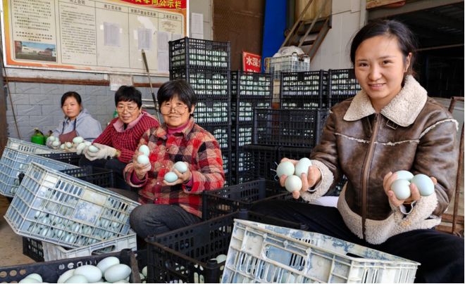 宁陵县路老大食品的这枚“金蛋”不得了！(图2)