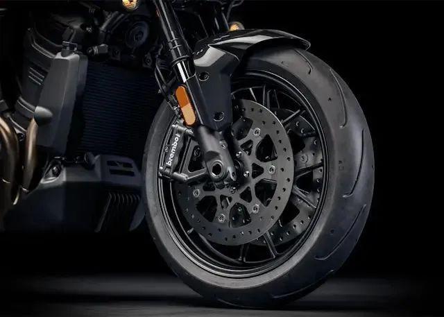 土路滑翔不在哈雷新款PanAmerica™1250ST(图3)