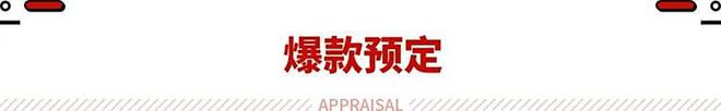 新平台加持的探岳L还是纯正的大众风味！(图22)