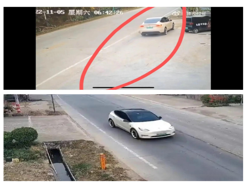 服了到底有多少人觉得单踏板只有一个踏板。。(图13)