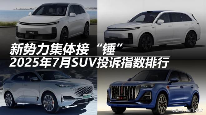 2025年7月SUV投诉指数排行：新势力集体接“锤”(图7)