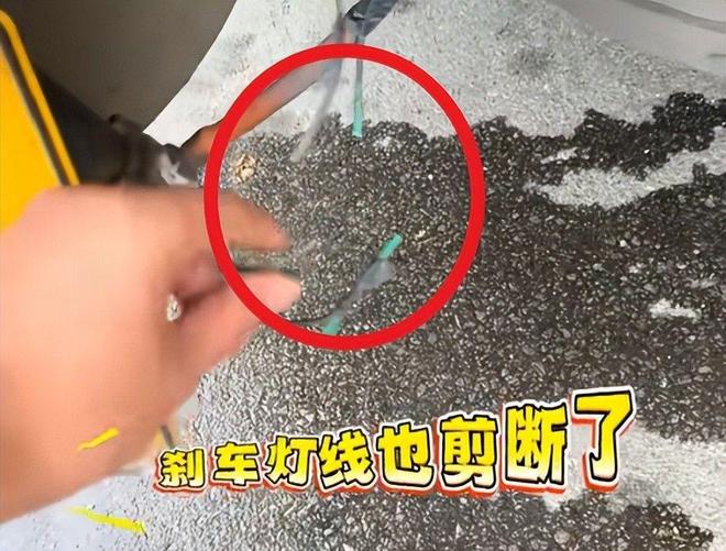 货车司机被盯上刹车线被剪险丧命作案手法曝光老乡惨遭牵连(图4)