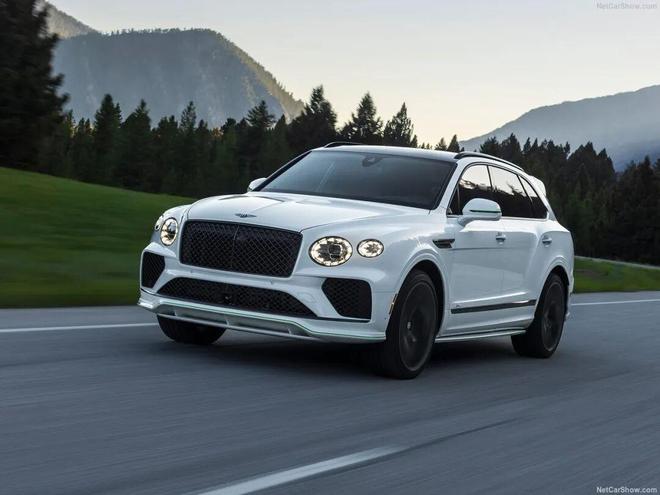 超能打的阿斯顿·马丁DBX707来一台试试？(图21)