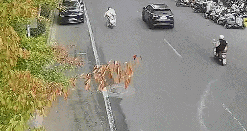 别再用电动车“挡风被”了！这些隐患要注意→(图2)