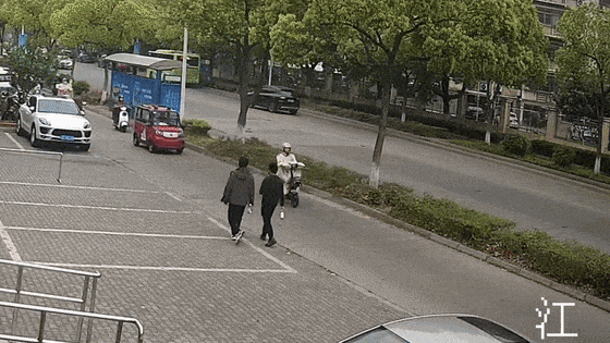 天全有这个的要小心(图2)