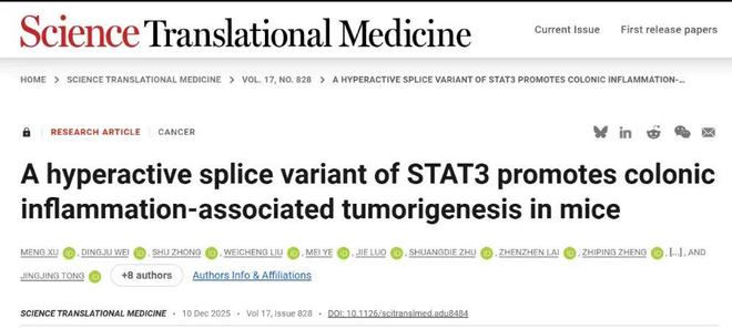Sci Transl Med丨仝晶晶王志华破解炎症与癌症新机制：STAT3一个氨基酸的缺失竟成肠癌“加速器”！(图1)