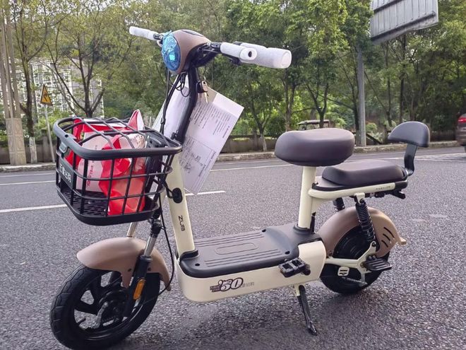 新国标电动车长什么样？取消脚蹬、续航提升车主：啥时放开限速(图6)