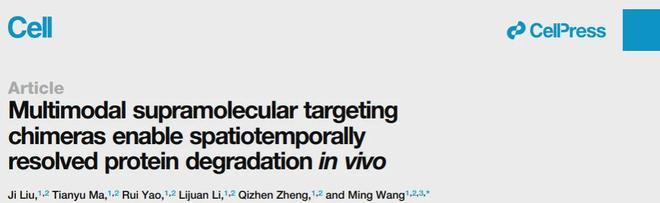 《细胞》:精准、定时清除“致病蛋白”!中国科学院团队带来新型靶向降解技术(图2)