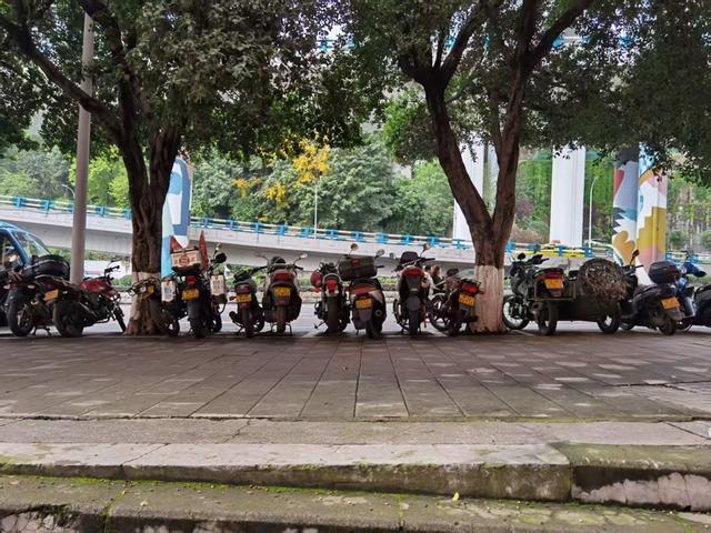 张雪身后的摩帮江湖(图4)